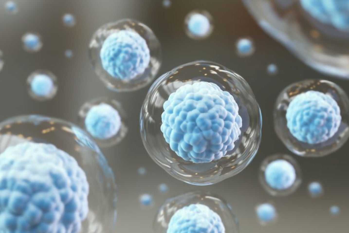 Biostar - Stem Cell Technology, Products, and Services